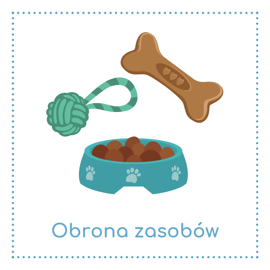 Obrona zasobów, psia miska, kość, zabawka