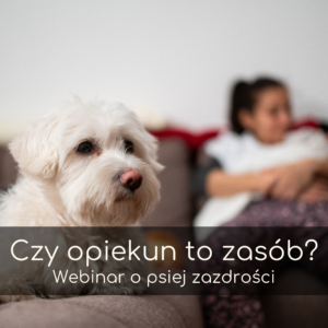 Czy opiekun to zasób? Webinar o psiej zazdrości