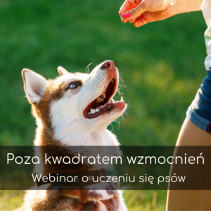 Poza kwadratem wzmocnień. Webinar o uczeniu się psów