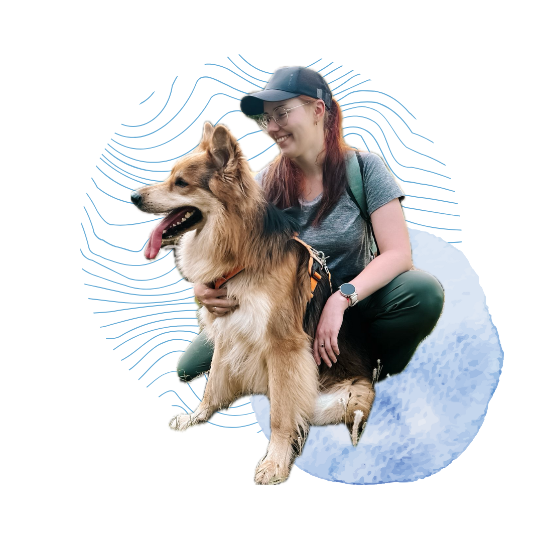 Projekt bez nazwy (2)